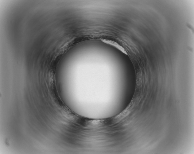 X0000095910184200802011158