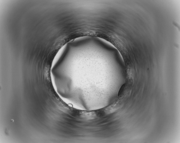 X0000095910185200802011159