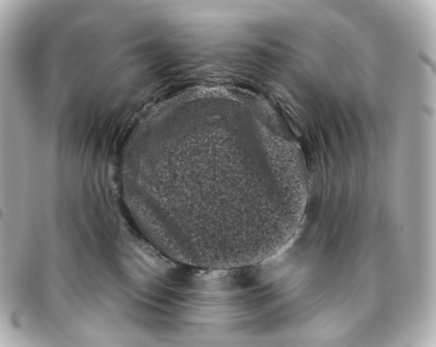 X0000095910186200802011159