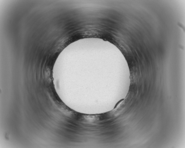 X0000095910187200802011159