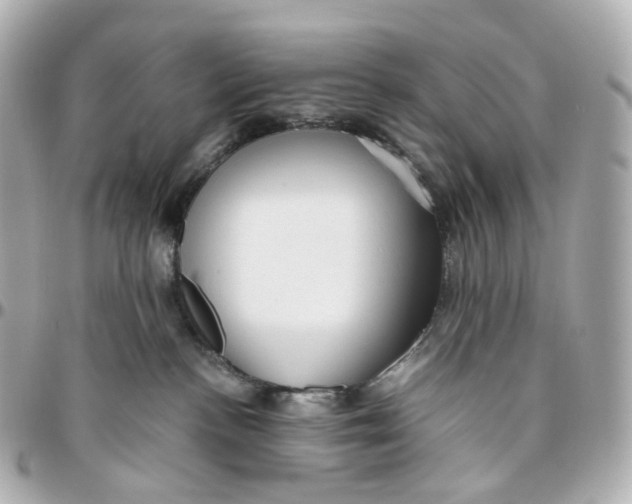 X0000095910188200802011159