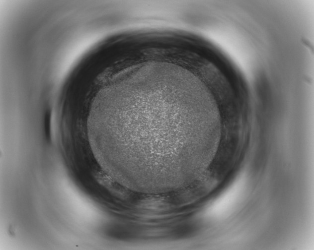 X0000095910189200802011159