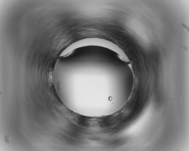 X0000095910190200802011159