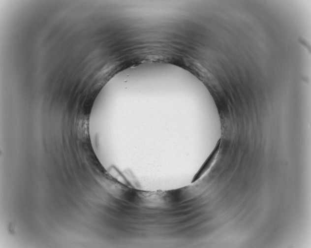 X0000095910191200802011159