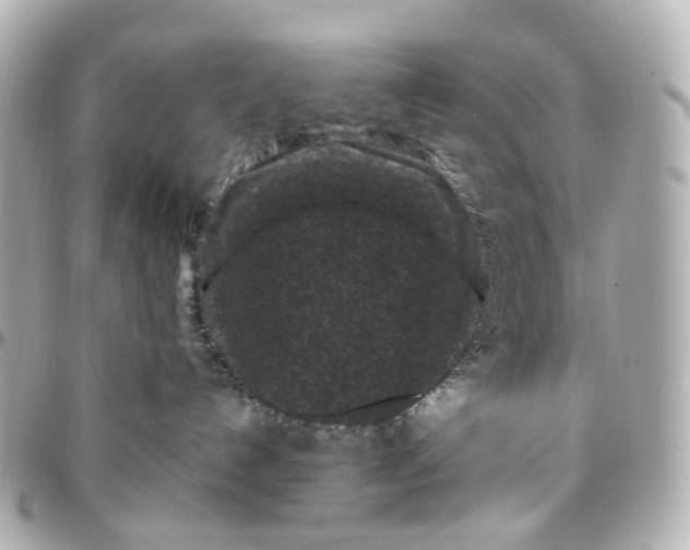 X0000095910192200802011159