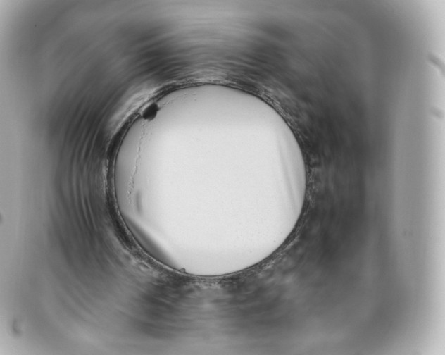 X0000095910194200802011158