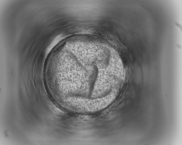 X0000095910195200802011158