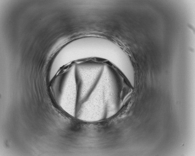 X0000095910197200802011158