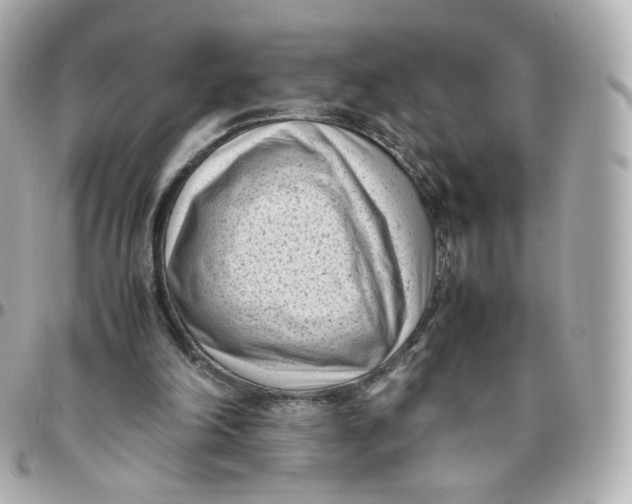 X0000095910198200802011158