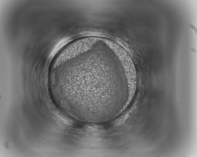 X0000095910199200802011158