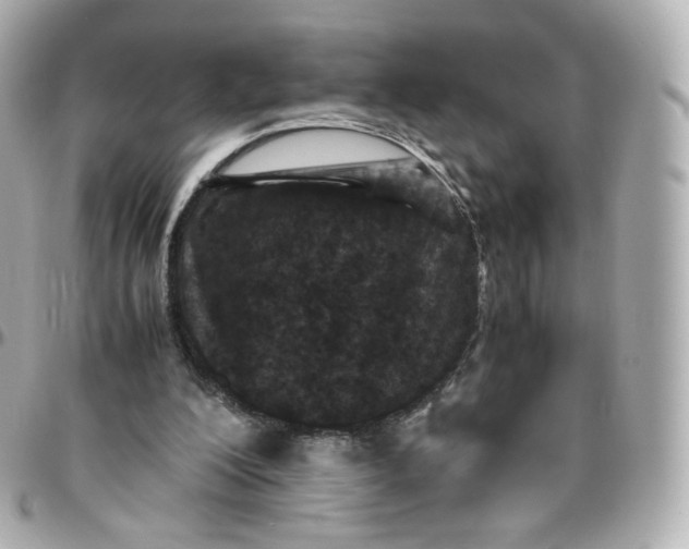 X0000095910200200802011158