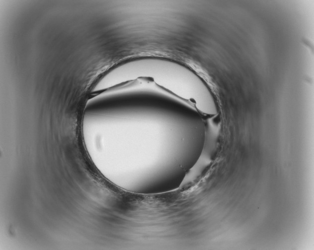 X0000095910201200802011158