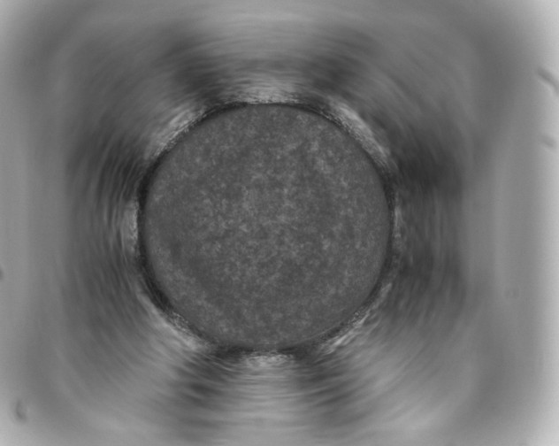 X0000095910202200802011158