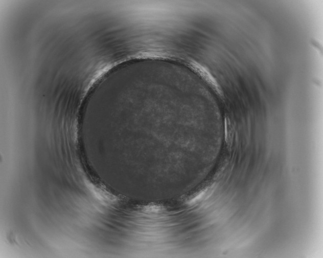 X0000095910204200802011158