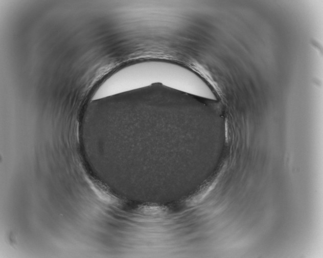 X0000095910205200802011158