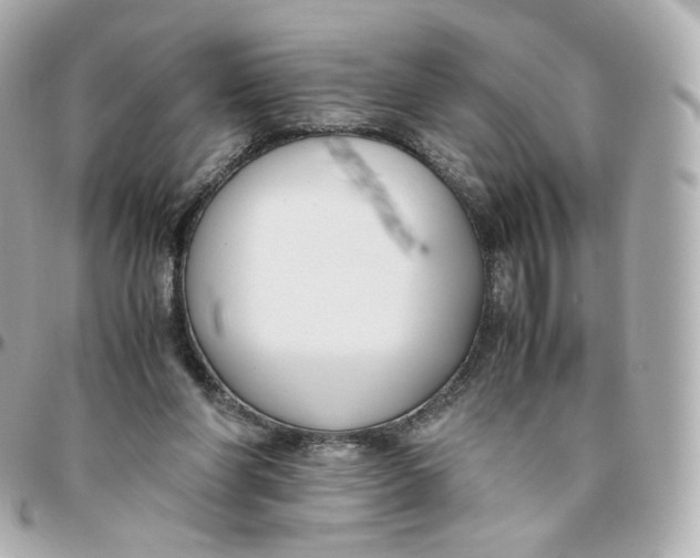 X0000095910206200802011158