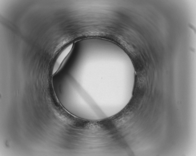 X0000095910207200802011158