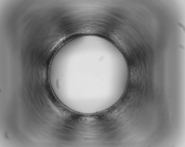 X0000095910208200802011158