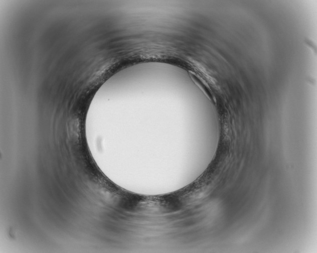 X0000095910211200802011158