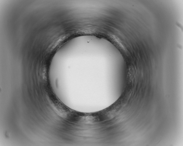 X0000095910212200802011158