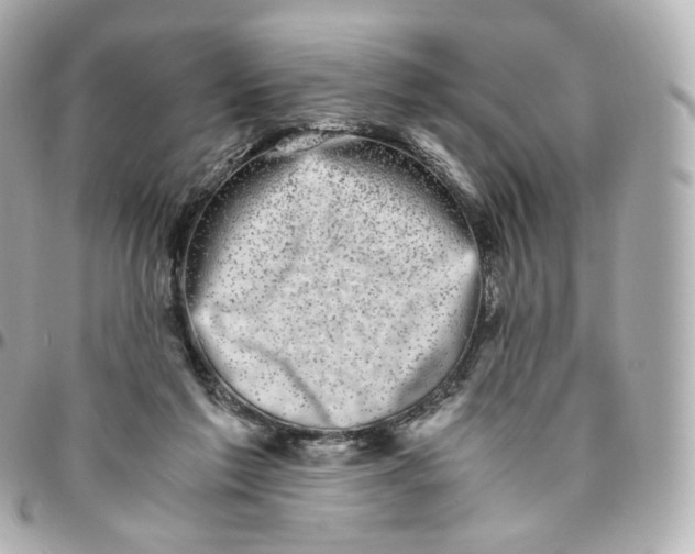 X0000095910213200802011158