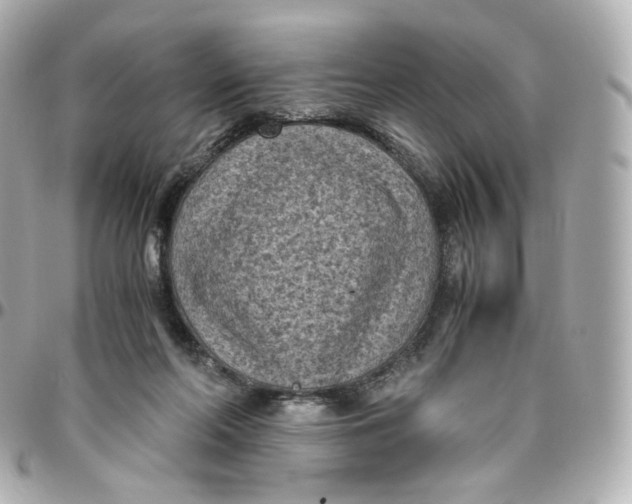 X0000095910214200802011158