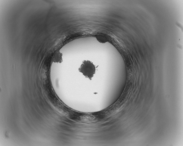 X0000095910215200802011158