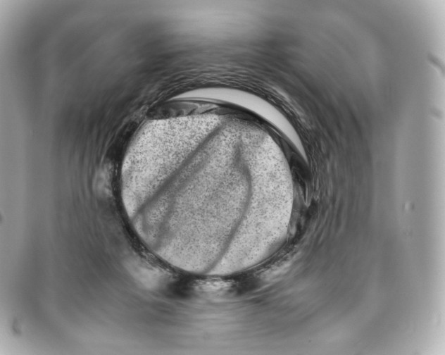 X0000095910217200802011158