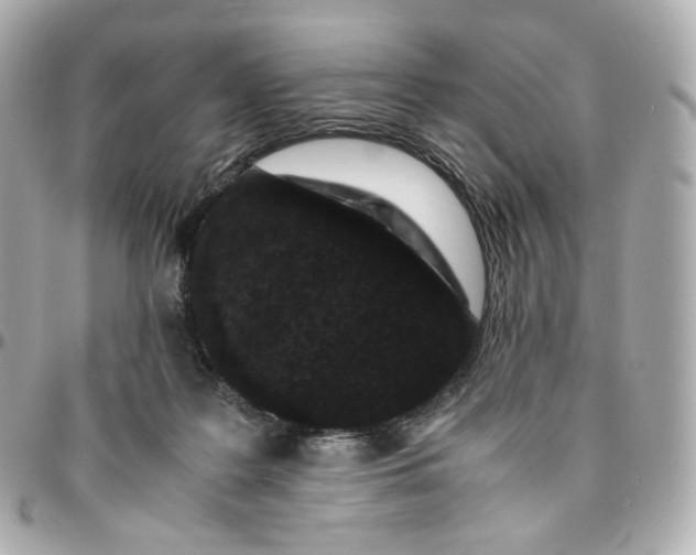 X0000095910219200802011158