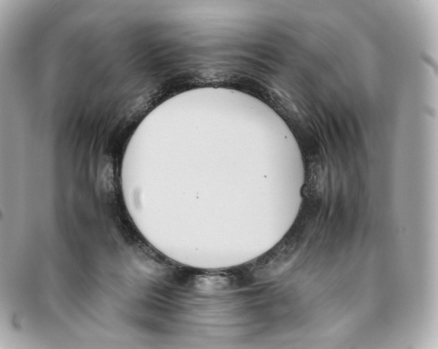 X0000095910220200802011158