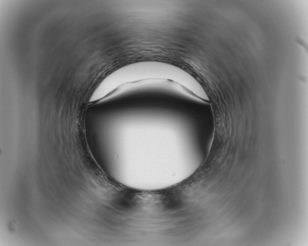 X0000095910221200802011158