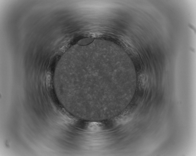 X0000095910222200802011158