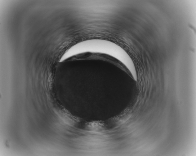 X0000095910223200802011158