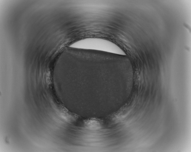 X0000095910224200802011158