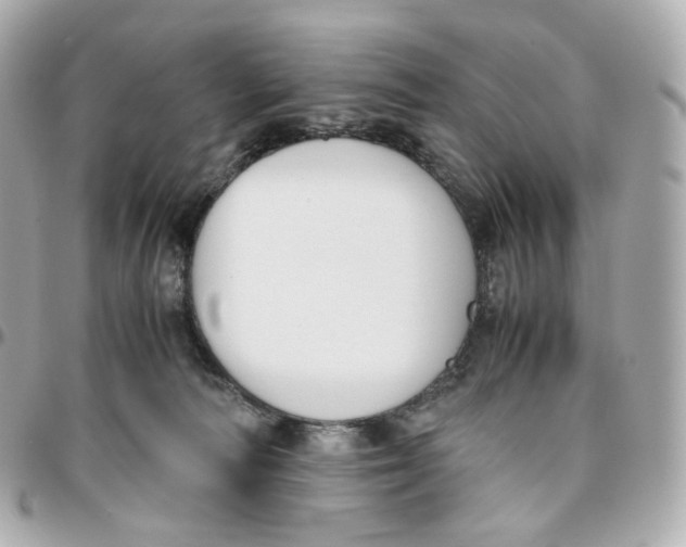 X0000095910226200802011158