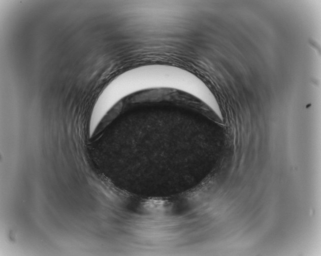 X0000095910227200802011157