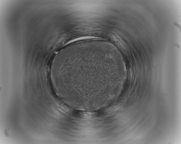 X0000095910229200802011157