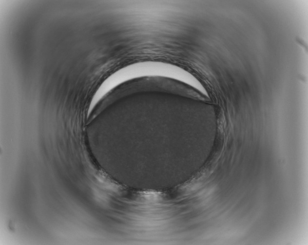 X0000095910233200802011157