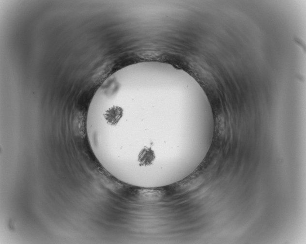 X0000095910234200802011157