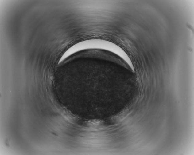 X0000095910235200802011157