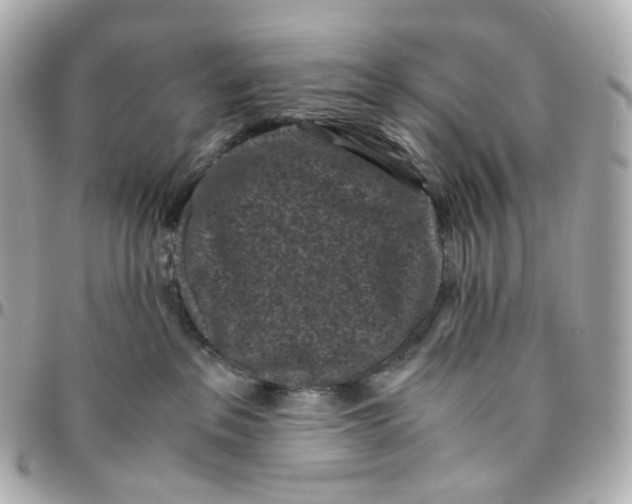 X0000095910237200802011157