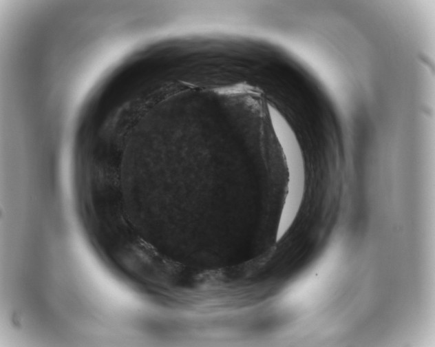 X0000095910239200802011157