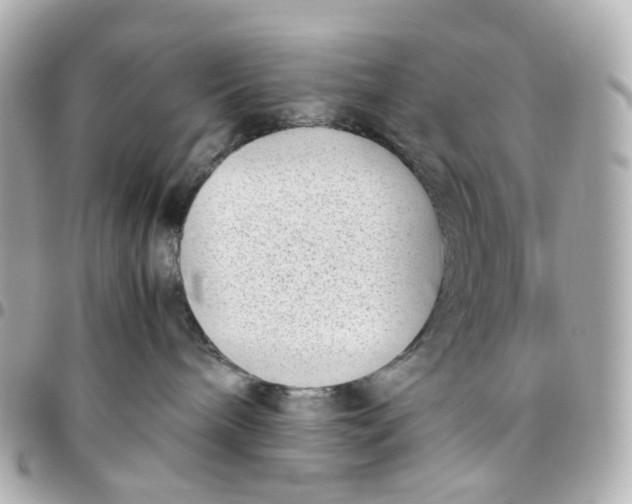 X0000095910240200802011157