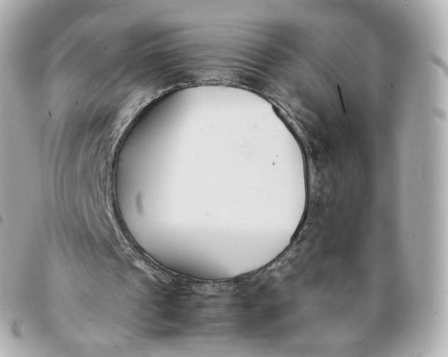 X0000095910241200802011157