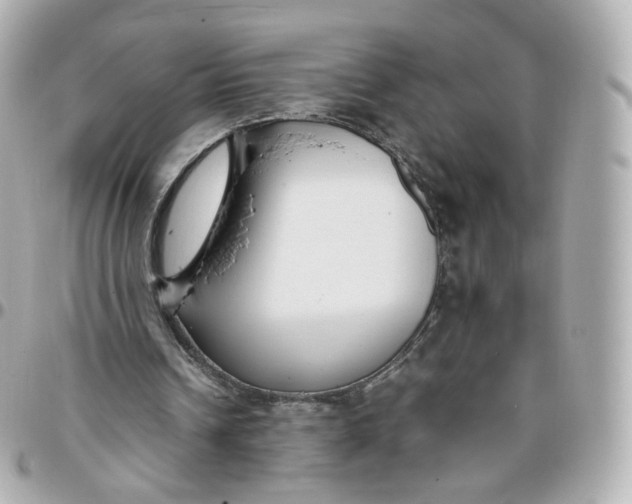 X0000095910242200802011157