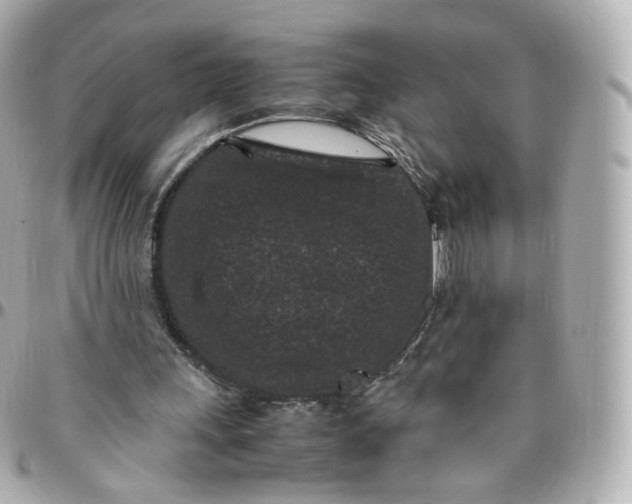 X0000095910243200802011157