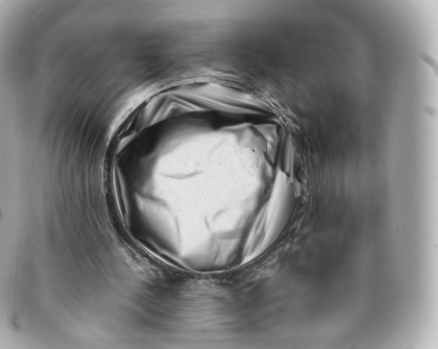 X0000095910244200802011157