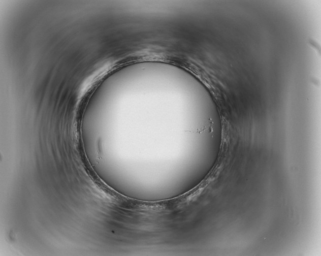 X0000095910245200802011157