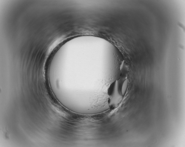 X0000095910246200802011157