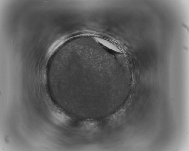 X0000095910247200802011157